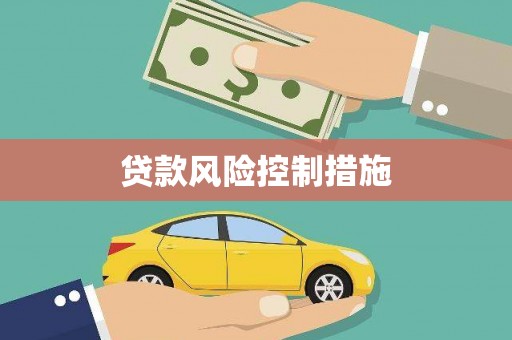 山城贷款风险控制措施