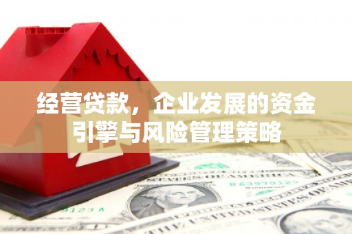 山城经营贷款，企业发展的资金引擎与风险管理策略