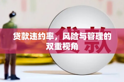 山城贷款违约率，风险与管理的双重视角