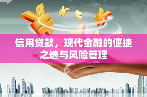 山城信用贷款，现代金融的便捷之选与风险管理