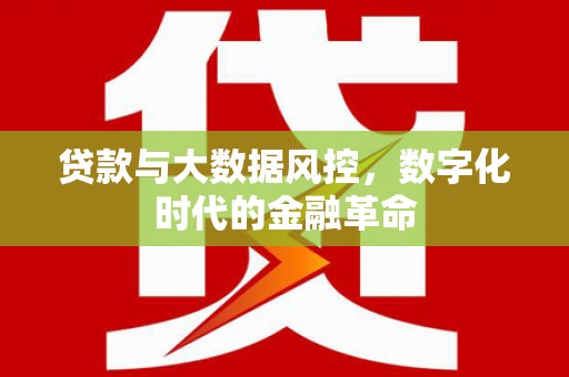 山城贷款与大数据风控，数字化时代的金融革命