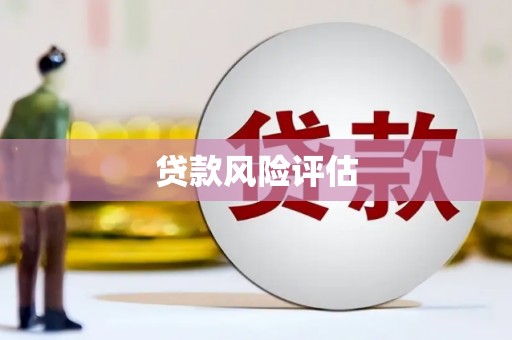 山城贷款风险评估