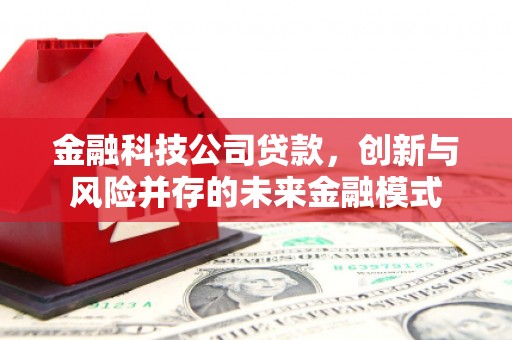 山城金融科技公司贷款，创新与风险并存的未来金融模式