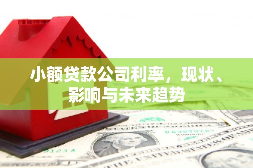 山城小额贷款公司利率，现状、影响与未来趋势