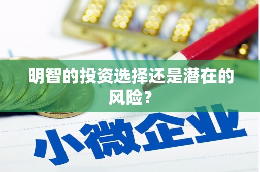 山城明智的投资选择还是潜在的风险？