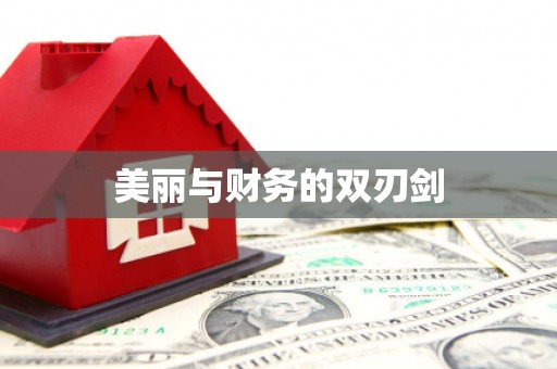 山城美丽与财务的双刃剑