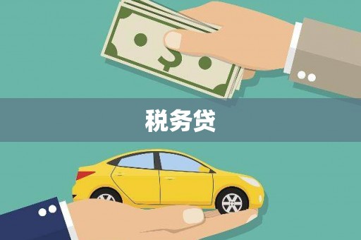 山城税务贷