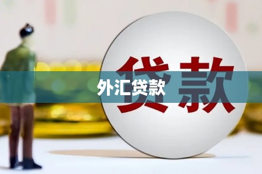 山城外汇贷款