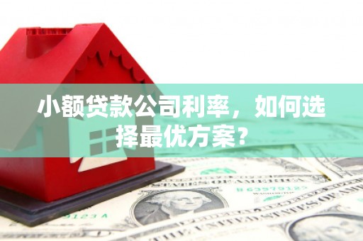 山城小额贷款公司利率，如何选择最优方案？