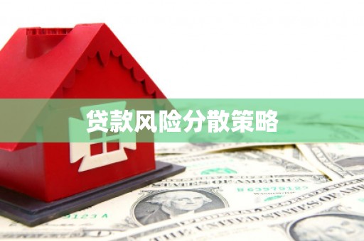 山城贷款风险分散策略