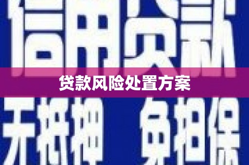山城贷款风险处置方案