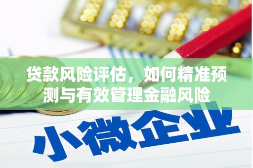 山城贷款风险评估，如何精准预测与有效管理金融风险