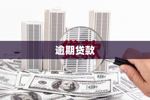 山城逾期贷款