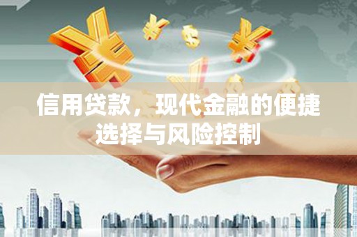 山城信用贷款，现代金融的便捷选择与风险控制