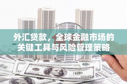 山城外汇贷款，全球金融市场的关键工具与风险管理策略