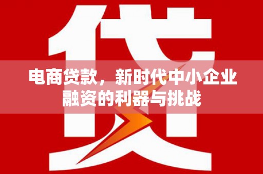 山城电商贷款，新时代中小企业融资的利器与挑战
