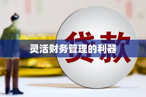 山城灵活财务管理的利器