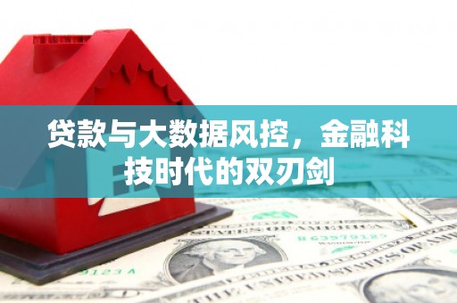 山城贷款与大数据风控，金融科技时代的双刃剑