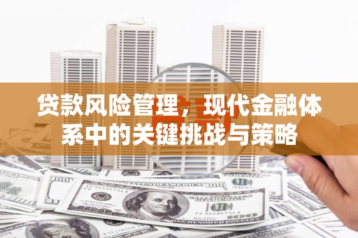 山城贷款风险管理，现代金融体系中的关键挑战与策略