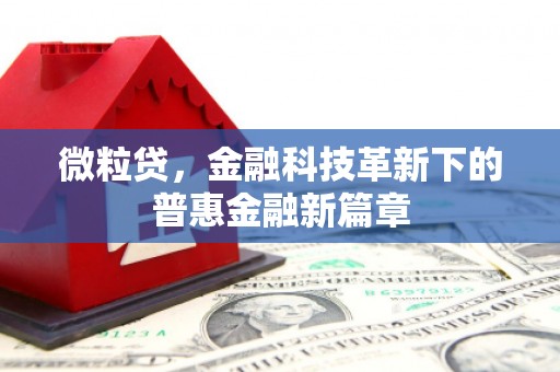 山城微粒贷，金融科技革新下的普惠金融新篇章