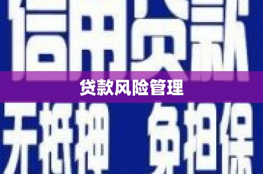 山城贷款风险管理