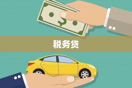 山城税务贷