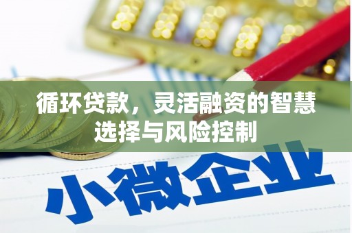 山城循环贷款，灵活融资的智慧选择与风险控制