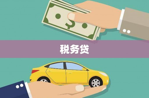 山城税务贷