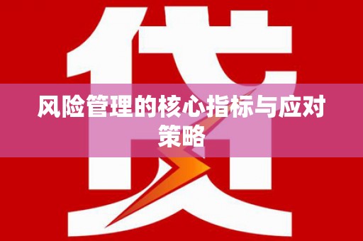 山城风险管理的核心指标与应对策略