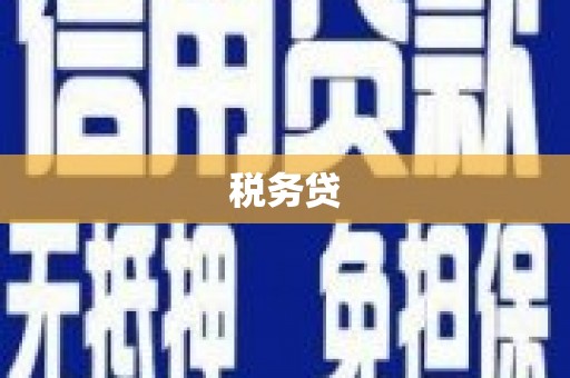 山城税务贷