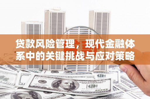 山城贷款风险管理，现代金融体系中的关键挑战与应对策略