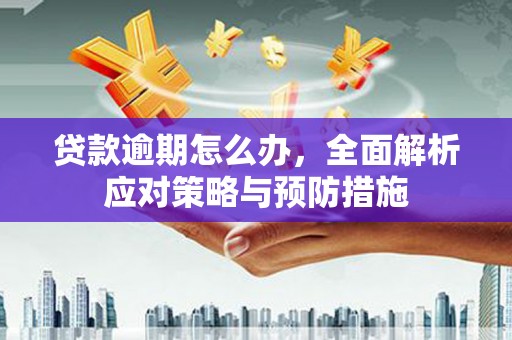 山城贷款逾期怎么办，全面解析应对策略与预防措施