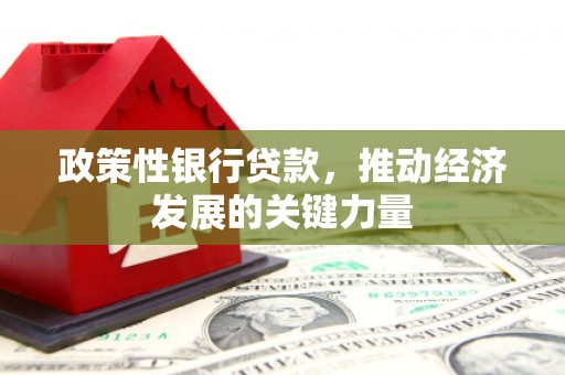山城政策性银行贷款，推动经济发展的关键力量
