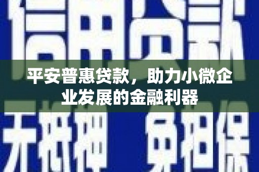 山城平安普惠贷款，助力小微企业发展的金融利器