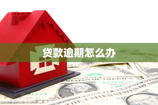 山城贷款逾期怎么办