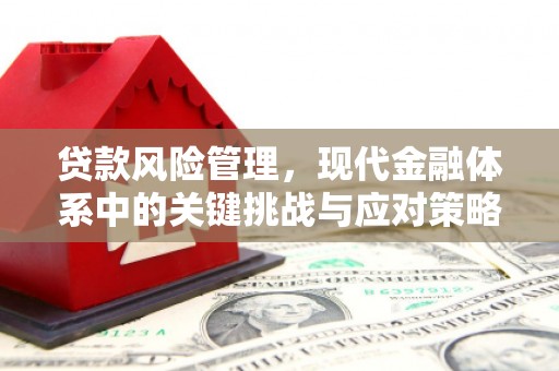 山城贷款风险管理，现代金融体系中的关键挑战与应对策略