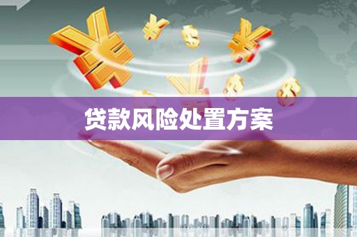 山城贷款风险处置方案
