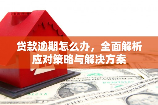 山城贷款逾期怎么办，全面解析应对策略与解决方案