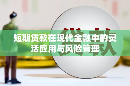 山城短期贷款在现代金融中的灵活应用与风险管理