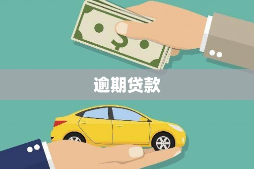 山城逾期贷款