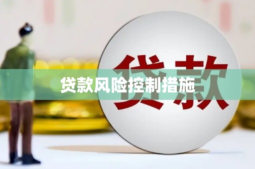 山城贷款风险控制措施