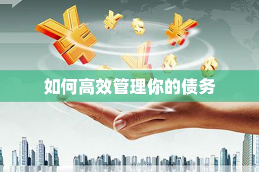 山城如何高效管理你的债务