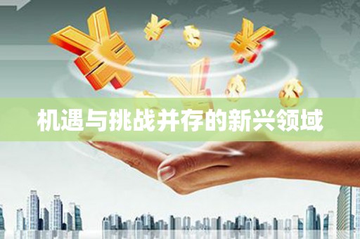 山城机遇与挑战并存的新兴领域