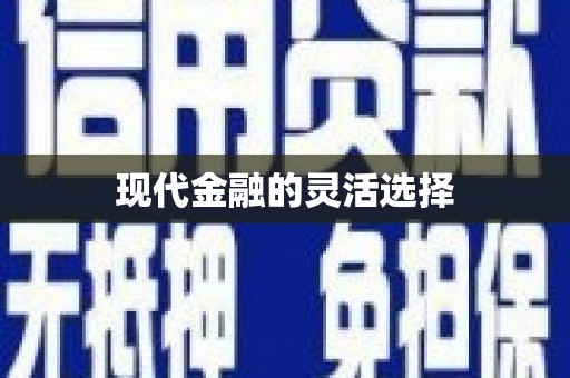 山城现代金融的灵活选择