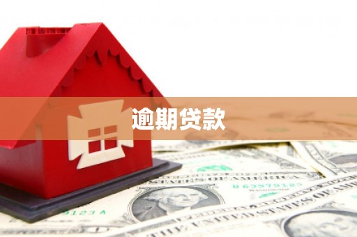 山城逾期贷款