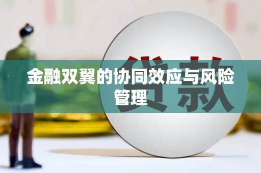 山城金融双翼的协同效应与风险管理