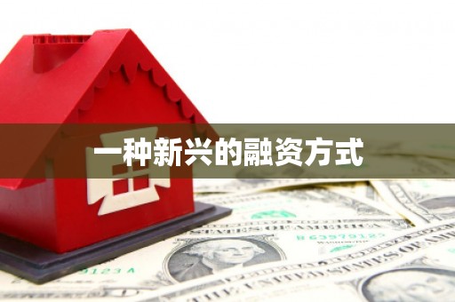 山城一种新兴的融资方式