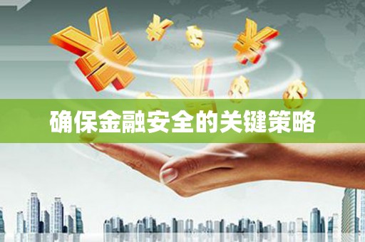 山城确保金融安全的关键策略