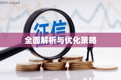 山城全面解析与优化策略