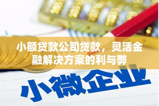 山城小额贷款公司贷款，灵活金融解决方案的利与弊